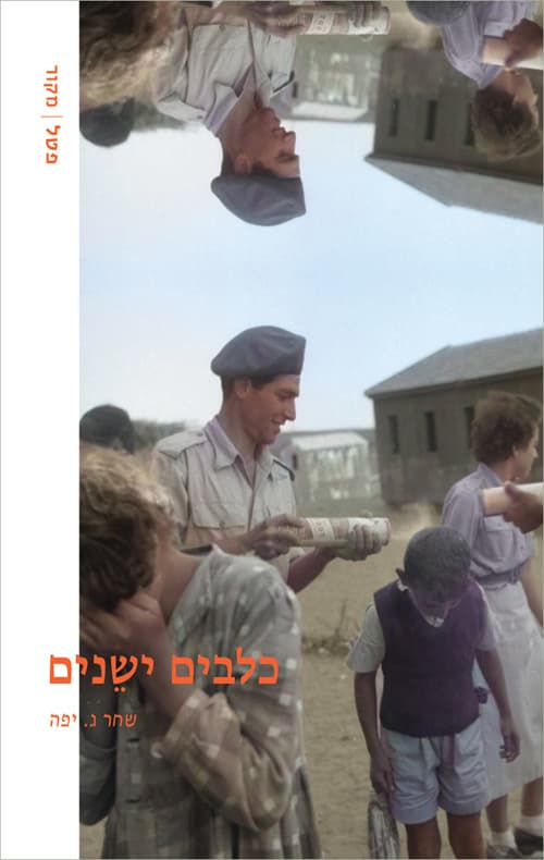 כלבים ישנים