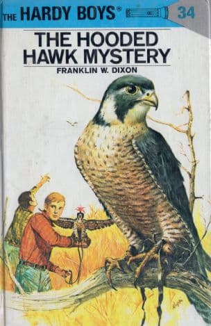 The hooded hawk mystery