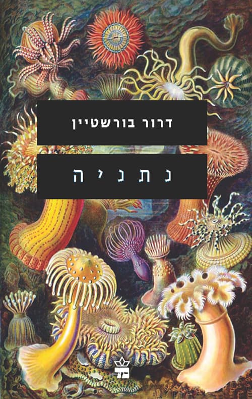 נתניה