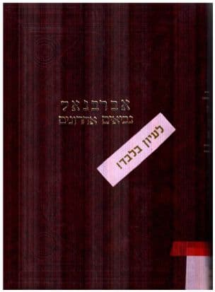 פירוש על נביאים אחרונים