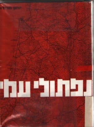 נפתולי עמי