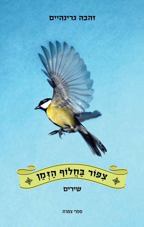 ציפור בחלוף הזמן