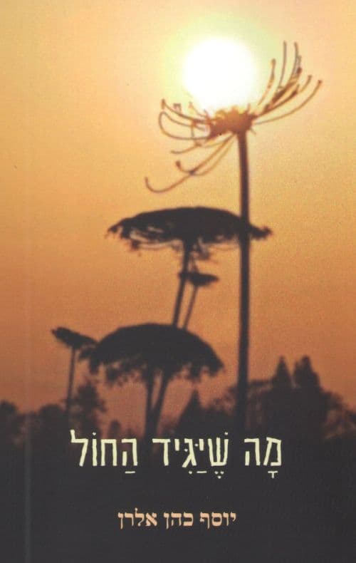 מה שיגיד החול