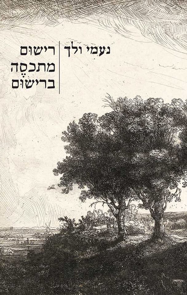 רישום מתכסה ברישום