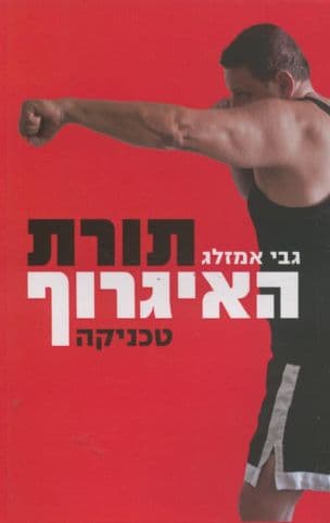 תורת האיגרוף : טכניקה