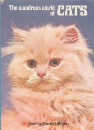 The wondrous world of Cats