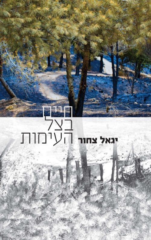 חיים בצל העימות
