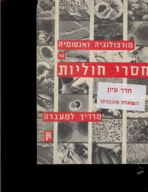 חסרי חוליות : מורפולוגיה ואנטומיה של חסרי חוליות