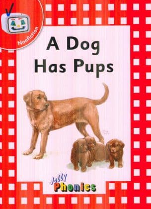 A Dog Has Pups
