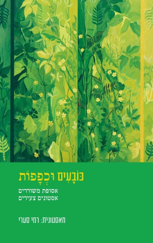 כובעים וכפפות