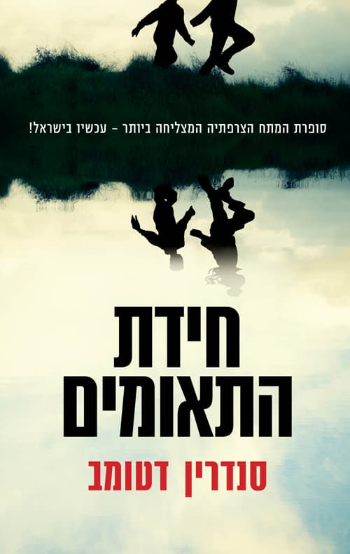 חידת התאומים