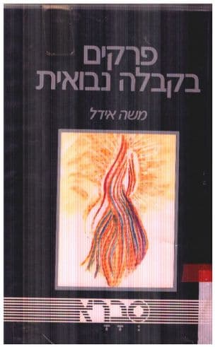 פרקים בקבלה נבואית