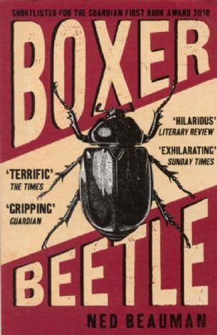 Boxer Beetle