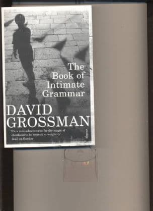 The Book of Intimate Grammar