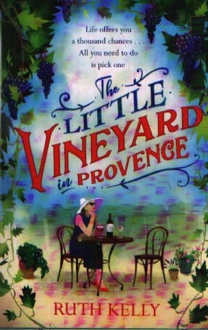 The Little Vineyard in Provence