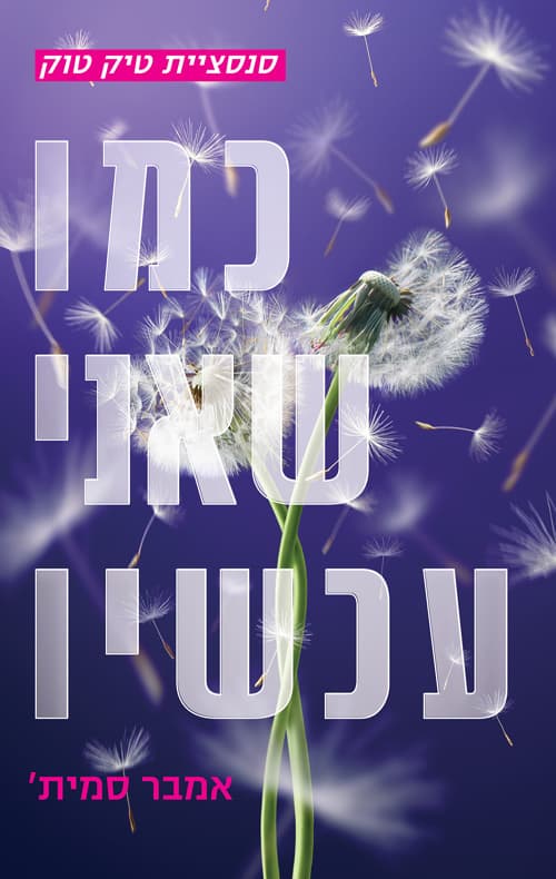 כמו שהייתי פעם 2 - כמו שאני עכשיו