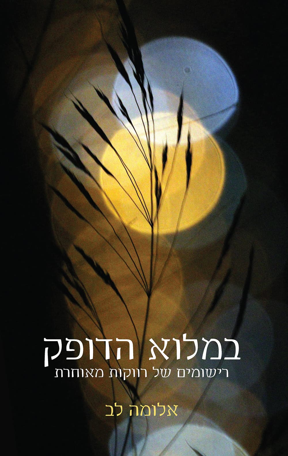 במלוא הדופק : רישומים של רווקות מאוחרת