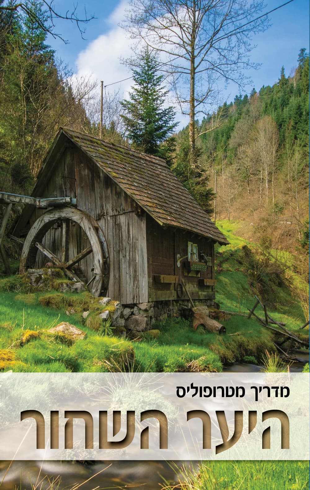 מדריך מטרופוליס : היער השחור