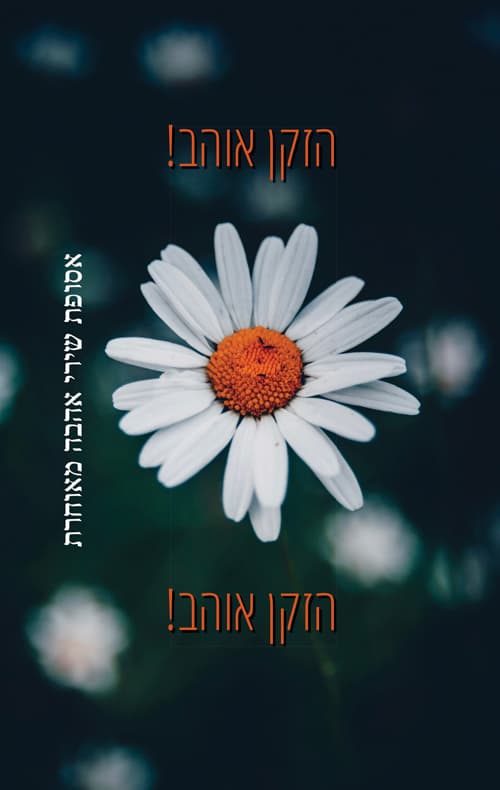הזקן אוהב!