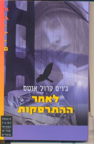 לאחר ההתרסקות