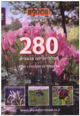 280 מסלולי פריחה צבעוניים-מרכז