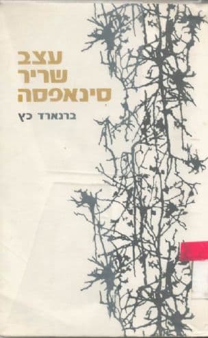 עצב, שריר, סינאפסה