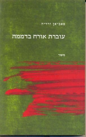 עוברת אורח בדממה - עשר שנות הכשרה בסין : סיפור