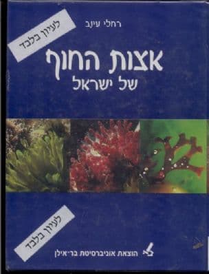 אצות החוף של ישראל