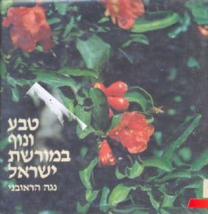 טבע ונוף במורשת ישראל