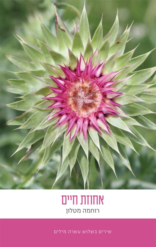 אחוזת חיים