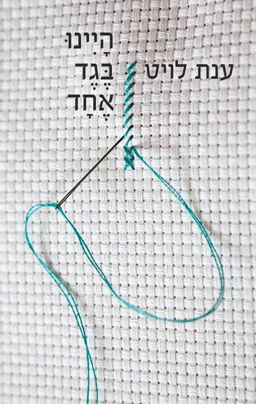 היינו בגד אחד