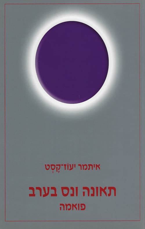 תאונה ונס בערב