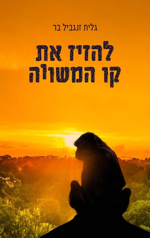 להזיז את קו המשווה