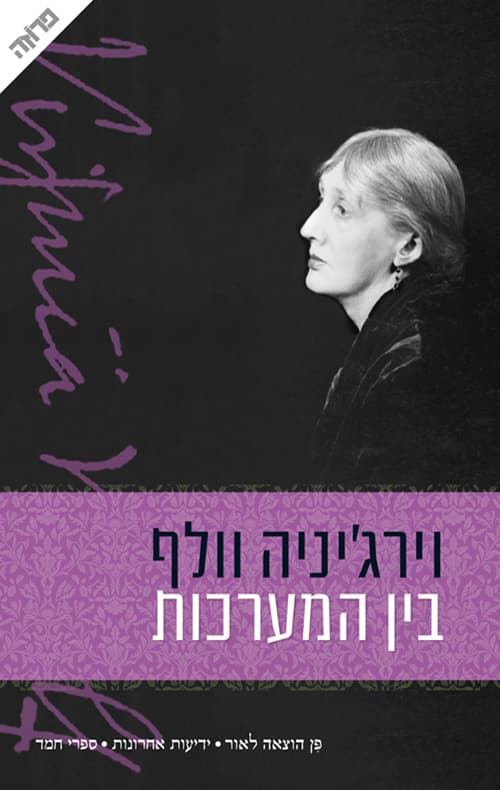 בין המערכות