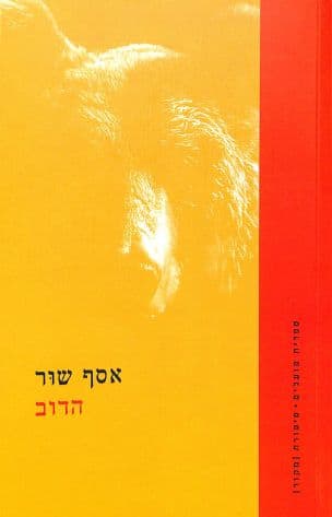 הדוב