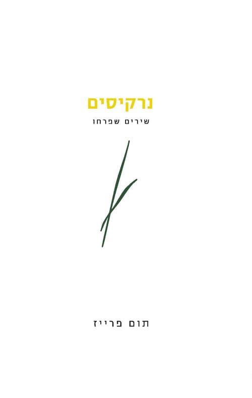 נרקיסים