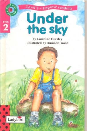 Under the sky