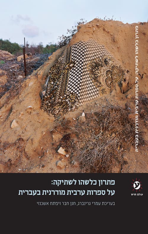 פתרון כלשהו לשתיקה