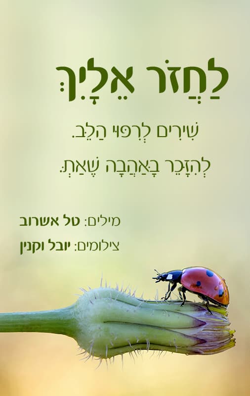 לחזור אלייך