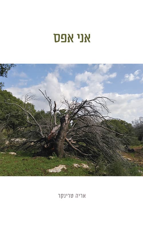 אני אפס