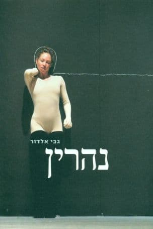 נהרין : רשימות ושיחות על יצירתו