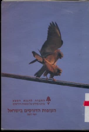 העופות הדורסים בישראל