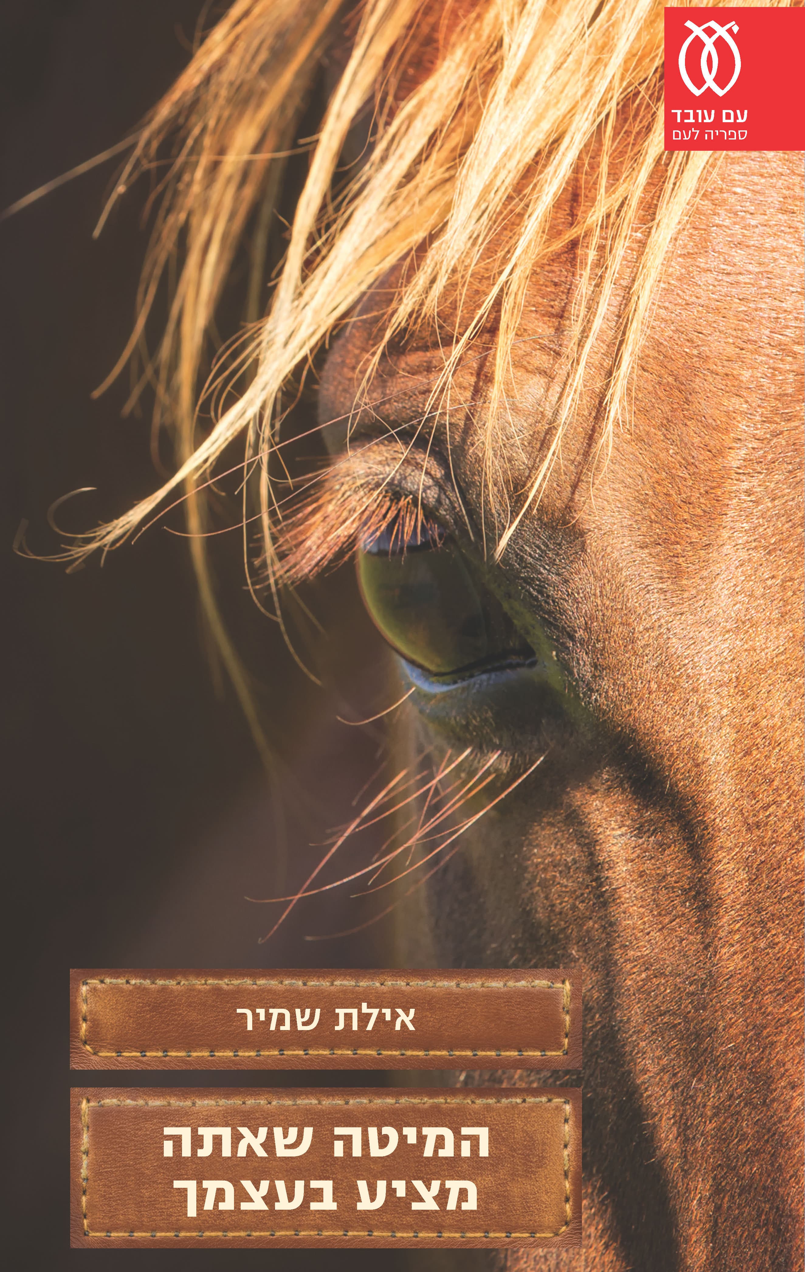 המיטה שאתה מציע בעצמך : רומן בחמש מערכות