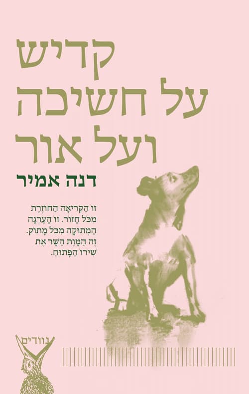 קדיש על חשיכה ועל אור