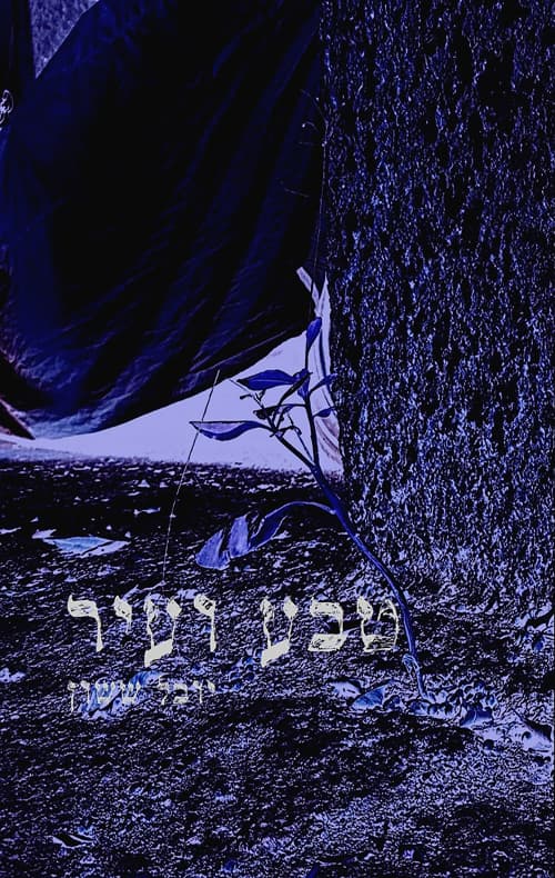 טבע ועיר