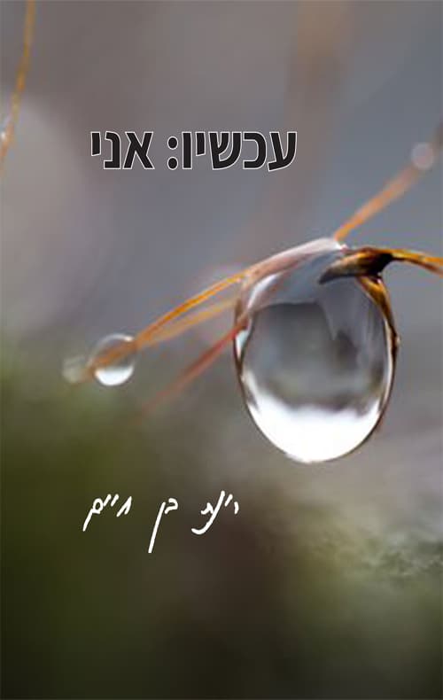 עכשיו: אני