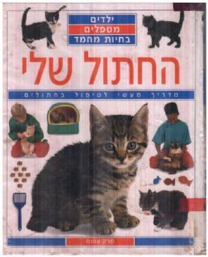 החתול שלי