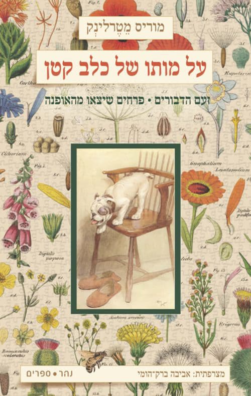 על מותו של כלב קטן : זעם הדבורים : פרחים שיצאו מהאופנה