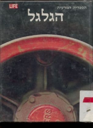 הגלגל
