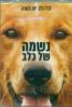 נשמה של כלב